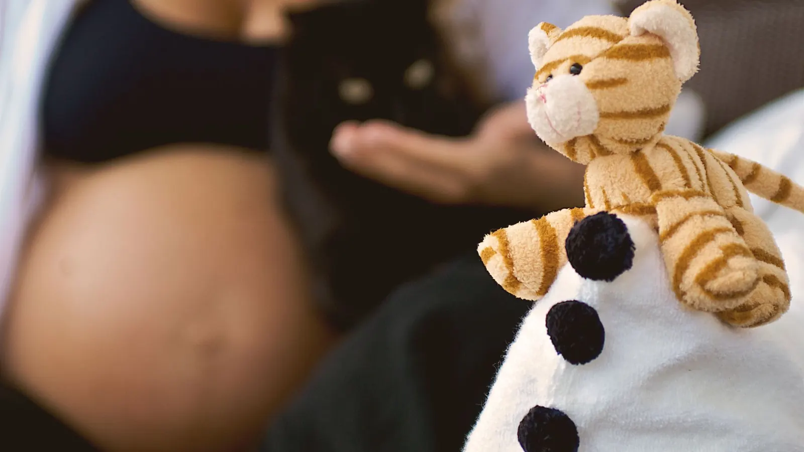Femme enceinte caressant calmement son chat installé près d'elle à la maison